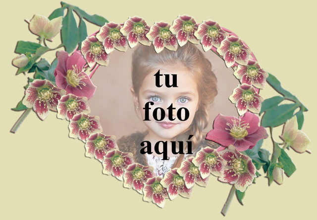 corazon romantico con marco de fotos de rosas rojas - corazón romántico con marco de fotos de rosas rojas
