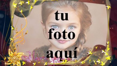 marco de fotos romantico de primavera 390x220 - marco de fotos romántico de primavera