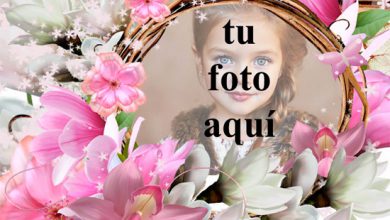 nido de flores marco de fotos muy romantico 390x220 - nido de flores marco de fotos muy romántico
