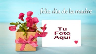 Feliz Dia De La Madre Foto Marco 390x220 - Feliz Día De La Madre Foto Marco