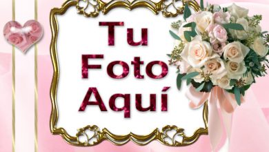 El Amor Brota Del Corazon Romantico Marcos 390x220 - El Amor Brota Del Corazón Romántico Marcos