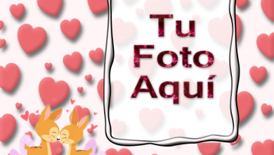 Ciervos Romanticos Foto Marcos 390x220 - Ciervos Románticos Foto Marcos
