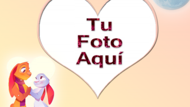 Conejos Romanticos Foto Marcos 390x220 - Conejos Romanticos Foto Marcos