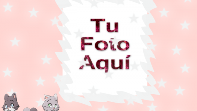 Gatos Romanticos Foto Marcos 390x220 - Gatos Románticos Foto Marcos