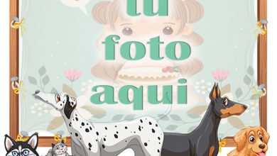 Perros lindos mascotas marcos de fotos 390x220 - Perros lindos mascotas marcos de fotos