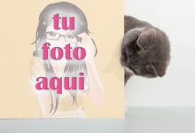 Puedo Verte Mascotas Foto Marcos 220x150 - Puedo Verte Mascotas Foto Marcos