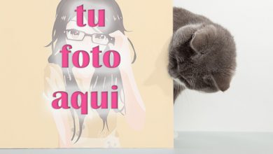 Puedo Verte Mascotas Foto Marcos 390x220 - Puedo Verte Mascotas Foto Marcos