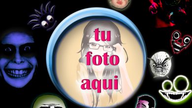 la vida es una locura 390x220 - la vida es una locura