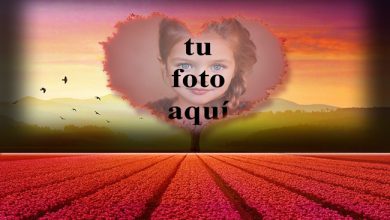 arbol de amor Foto Marcos 390x220 - arbol de amor Foto Marcos