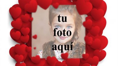 Lindos Marcos De Fotos De Corazones Rojos De Amor Romantica Foto Marcos 390x220 - Lindos Marcos De Fotos De Corazones Rojos De Amor Romántica Foto Marcos