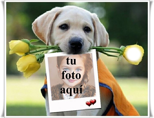 Marcos De Fotos De Amigos Secretos Romanticos Romantica Foto Marcos - Marcos De Fotos De Amigos Secretos Románticos Romántica Foto Marcos