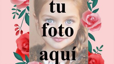 Marcos De Fotos De Flores Romanticas Romantica Foto Marcos 390x220 - Marcos De Fotos De Flores Románticas Romántica Foto Marcos