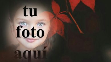 rojo calido Natural Foto Marcos 390x220 - rojo cálido Natural Foto Marcos