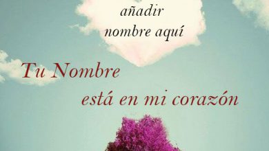 Tu Nombre esta en mi corazon agregar nombre en la foto modelo 390x220 - Tu Nombre está en mi corazón agregar nombre en la foto