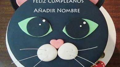agregar nombre en el pastel de cumpleanos del gato modelo 390x220 - agregar nombre en el pastel de cumpleaños del gato