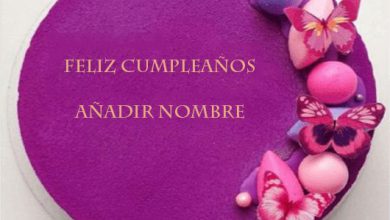 agregar nombre en hermoso pastel de cumpleanos modelo 390x220 - agregar nombre en hermoso pastel de cumpleaños