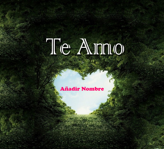 agregar nombre en la foto maderas romantica modelo - agregar nombre en la foto maderas romántica