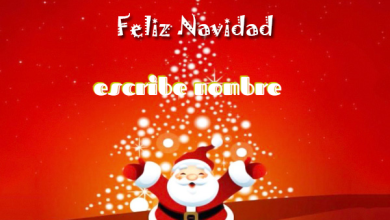 Escribe El Nombre En El Arbol De Navidad 390x220 - Escribe El Nombre En El Arbol De Navidad