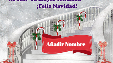 Escribe El Nombre En El Deseo De Feliz Navidad 390x220 - Escribe El Nombre En El Deseo De Feliz Navidad