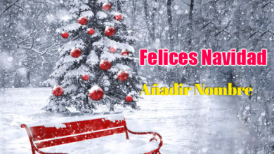 Escribir Nombre En Felices Navidad Fotos 390x220 - Escribir Nombre En Felices Navidad Fotos