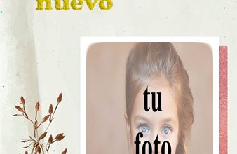 Marco De Fotos De Ano Nuevo Nueva Edicion 338x220 - Marco De Fotos De Año Nuevo Nueva Edición