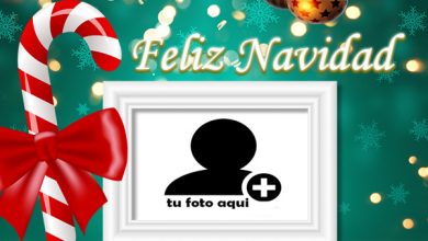 Marcos De Feliz Navidad Para Celebrar 390x220 - Marcos De Feliz Navidad Para Celebrar