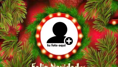 Marcos De Feliz Navidad Y Prospero Ano Nuevo 390x220 - Marcos De Feliz Navidad Y Próspero Año Nuevo