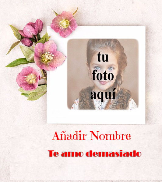 te amo mucho agrega nombre y foto en el marco marco para fotos con nombre 5 - te amo mucho agrega nombre y foto en el marco