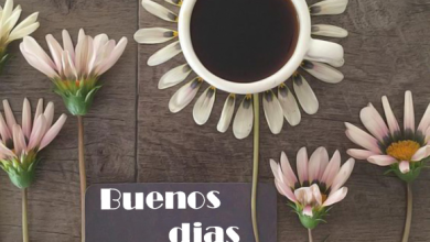 Agregar nombre en la foto de feliz manana 390x220 - Agregar nombre en la foto de feliz mañana