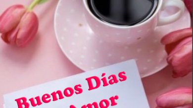 Buenos Dias Mi Amor Foto 390x220 - Buenos Días Mi Amor Foto