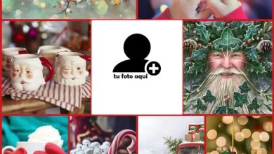 Colecciones De Marcos De Feliz Navidad 390x220 - Colecciones De Marcos De Feliz Navidad