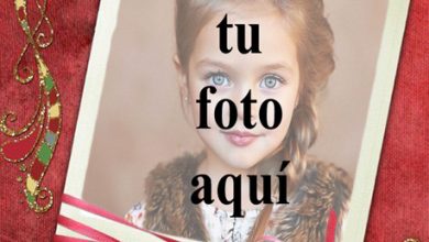 Marco De Fotos De Feliz Navidad Muy Nuevo 390x220 - Marco De Fotos De Feliz Navidad Muy Nuevo