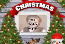 Marco Para Fotos Felices Fiestas Feliz Navidad 220x150 - Marco Para Fotos Felices Fiestas Feliz Navidad