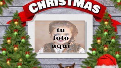Marco Para Fotos Felices Fiestas Feliz Navidad 390x220 - Marco Para Fotos Felices Fiestas Feliz Navidad