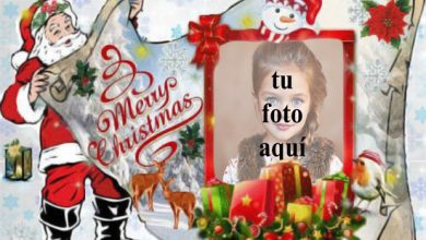 Papiro De Navidad Marco Para Fotos 390x220 - Papiro De Navidad Marco Para Fotos