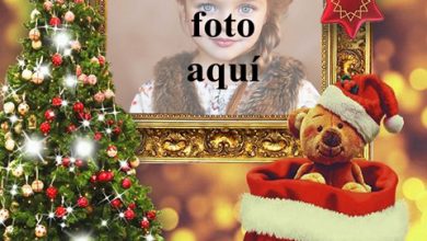 Regalos De Navidad Marco De Fotos 390x220 - Regalos De Navidad Marco De Fotos