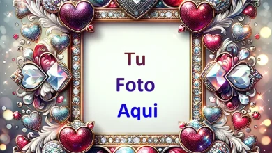 amor 390x220 - Amor Foto Marcos